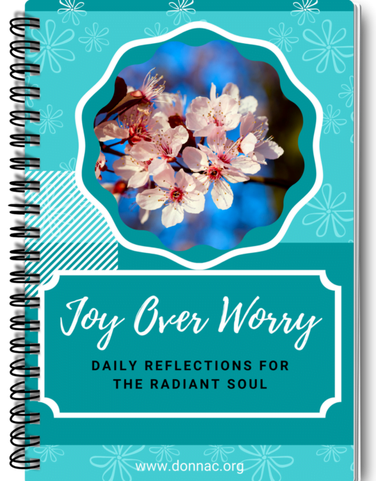 Joy Over Worry Spiral Journal Image
