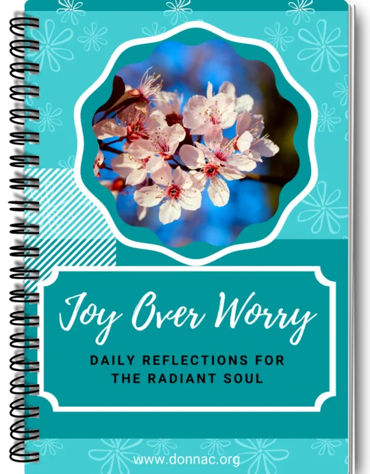 Joy Over Worry Spiral Journal Image